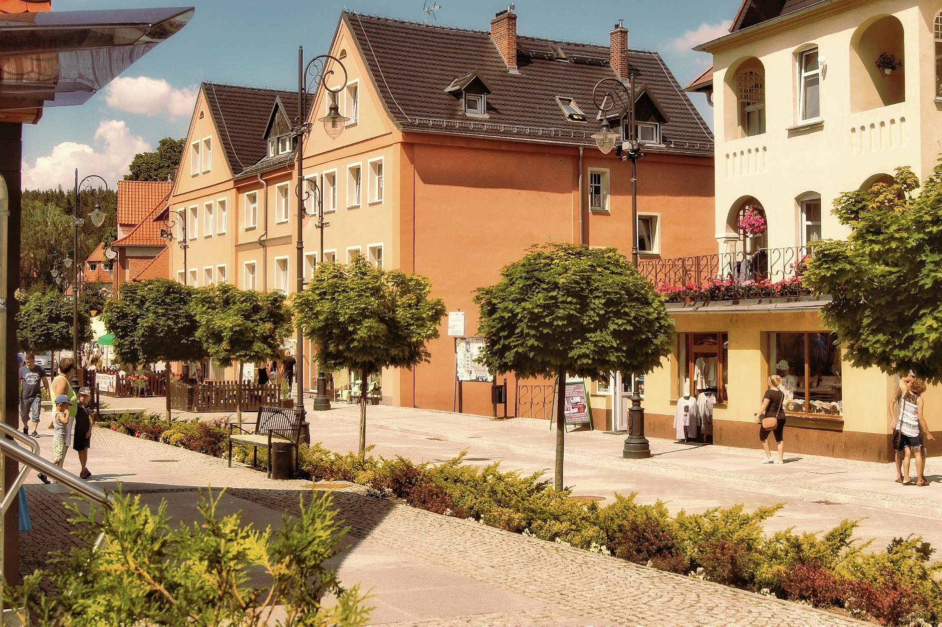 Radzyń Podlaski: Seniorzy bez dotacji z miejskiego konkursu, analiza przyczyn i poszukiwanie rozwiązań