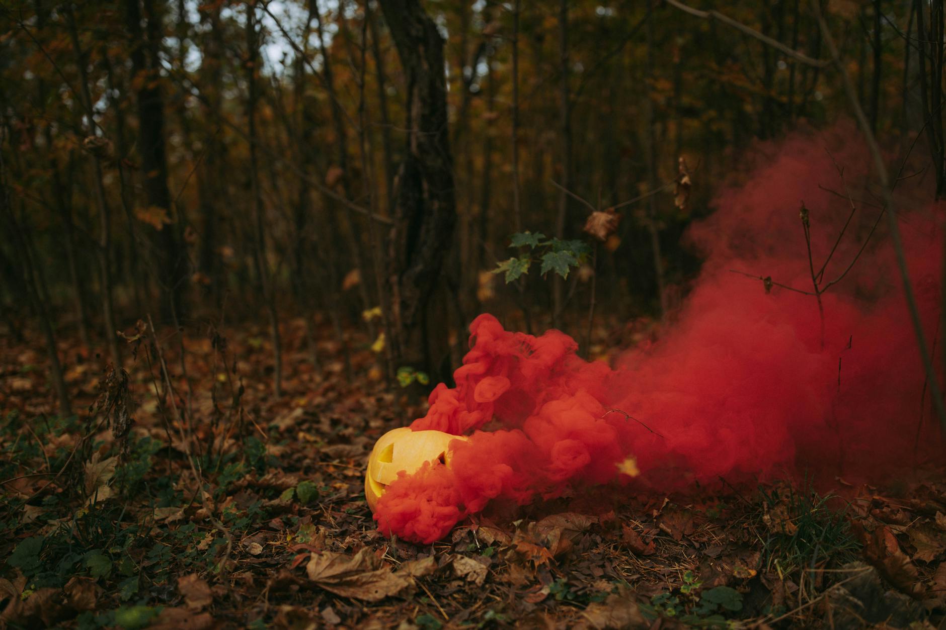 Panorama Radzynia Podlaskiego z widocznym zabytkowym zamkiem na pierwszym planie